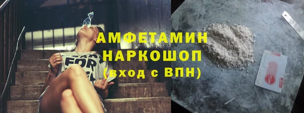 прущие грибы Абинск