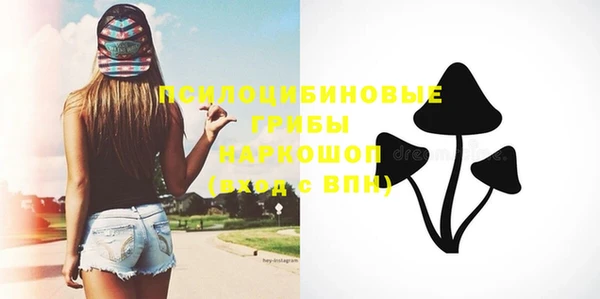 прущие грибы Абинск