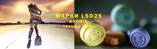 прущие грибы Абинск