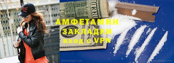 прущие грибы Абинск