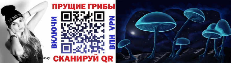 Псилоцибиновые грибы GOLDEN TEACHER  Нестеровская 